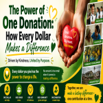 The Power of One Donation: How Every Dollar Makes a Difference